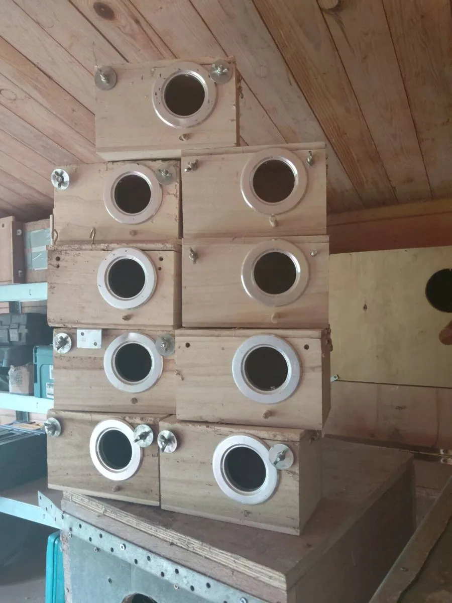 Breeding/nest boxes - Image 1