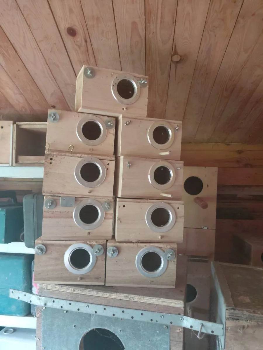 Breeding/nest boxes - Image 2