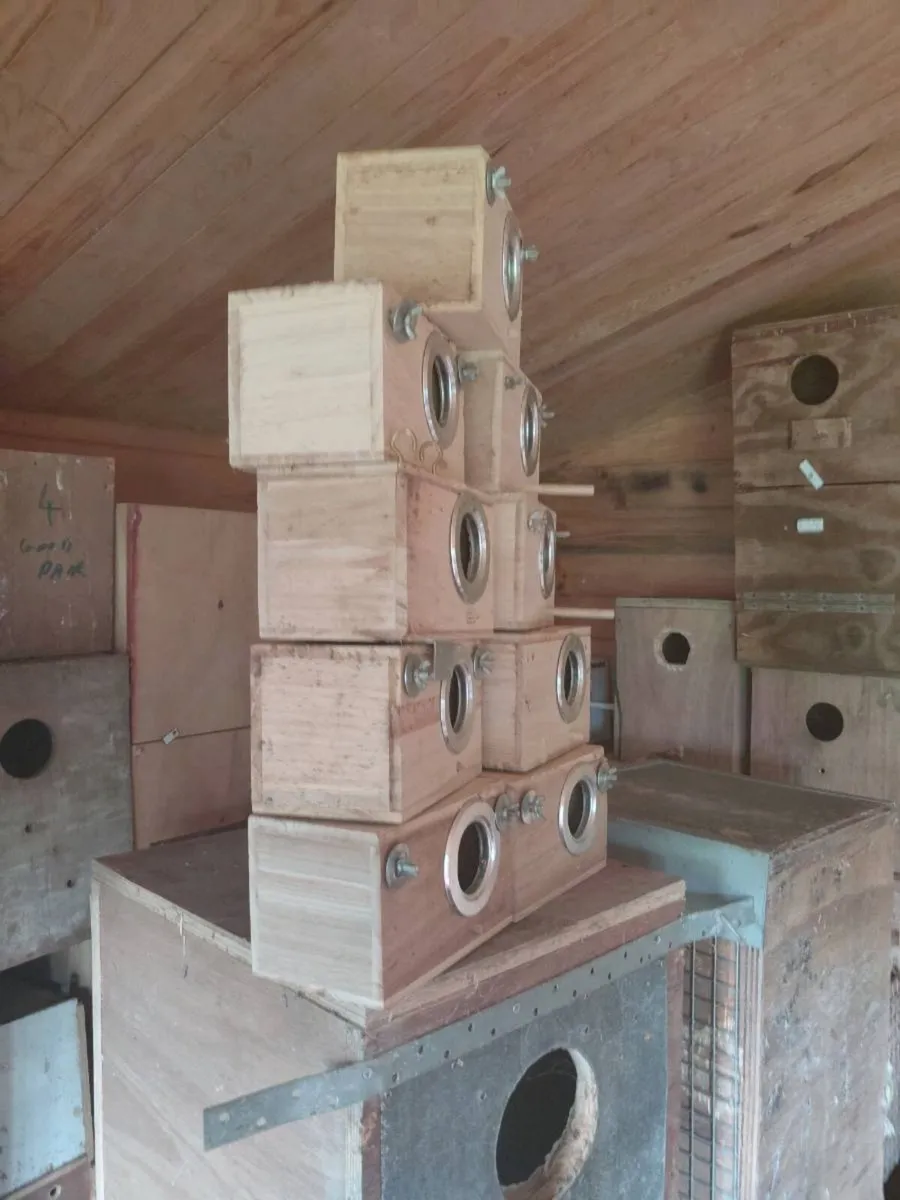 Breeding/nest boxes - Image 3