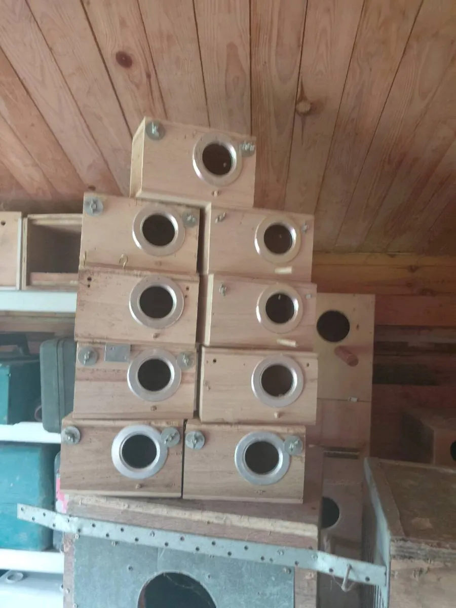 Breeding/nest boxes - Image 4