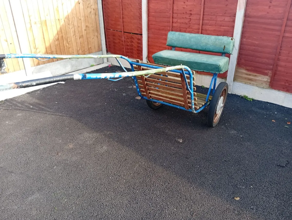 Pony cart - Image 1