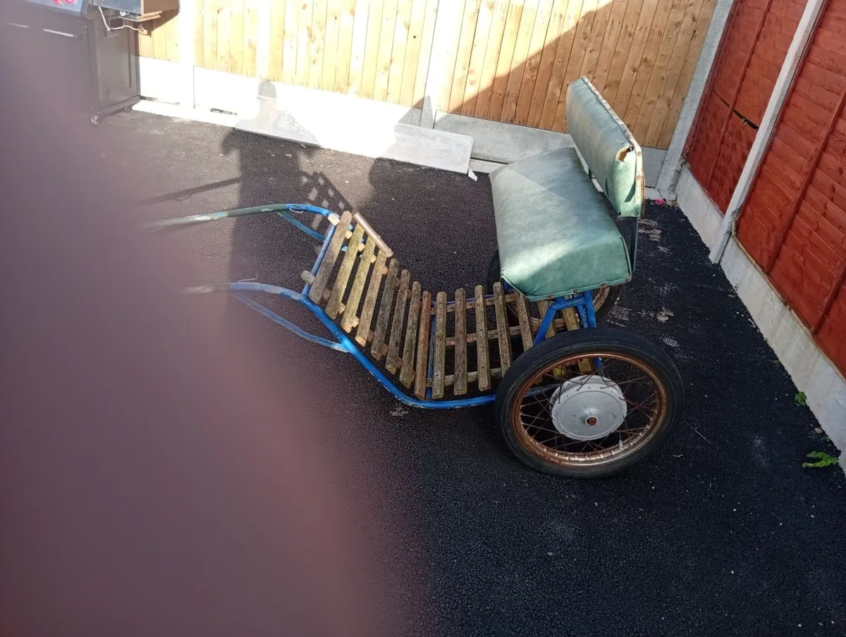 Pony cart - Image 2