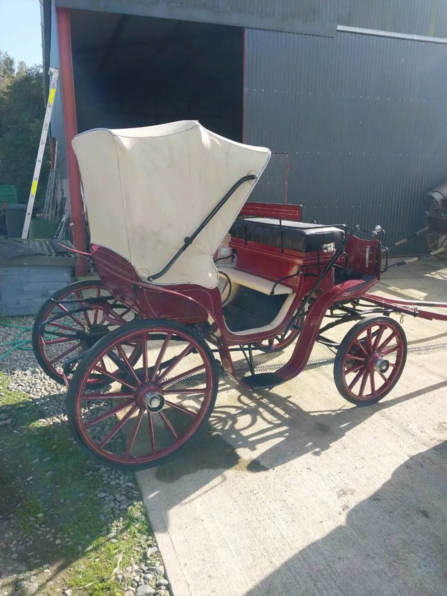 POLISH CARRIAGE FOR SALE - Image 3