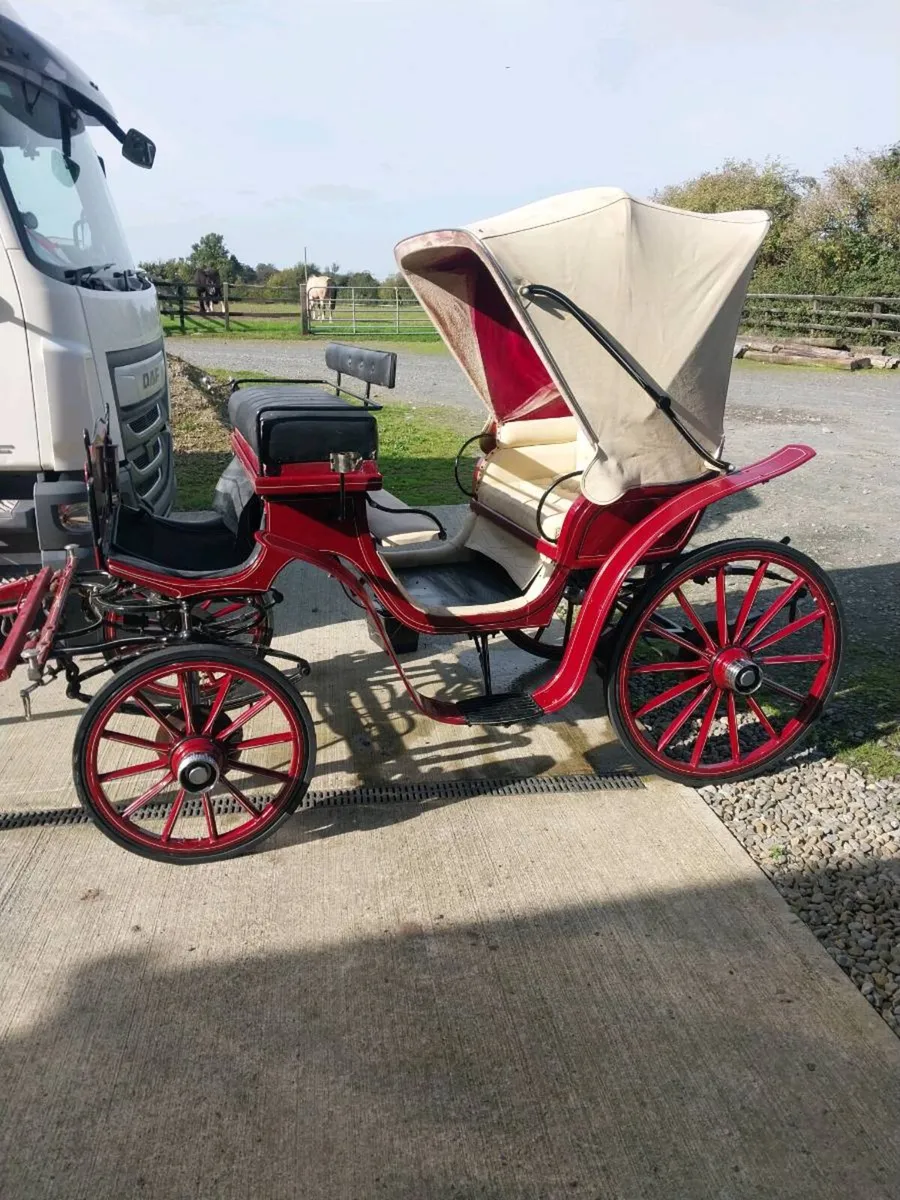 POLISH CARRIAGE FOR SALE - Image 1