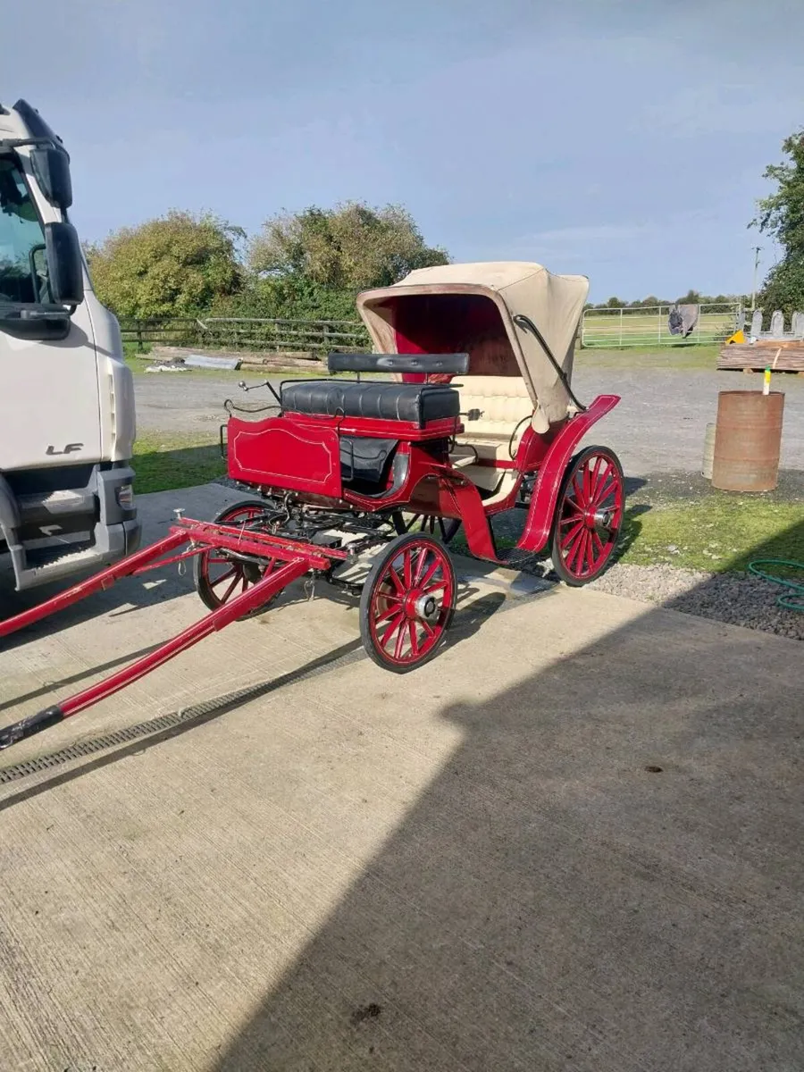 POLISH CARRIAGE FOR SALE - Image 2