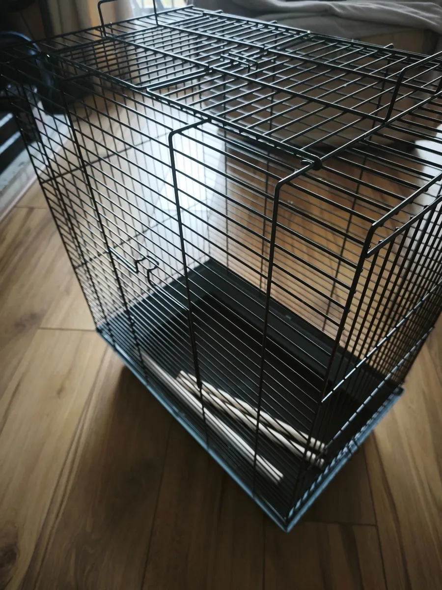 Bird Cage - Image 3
