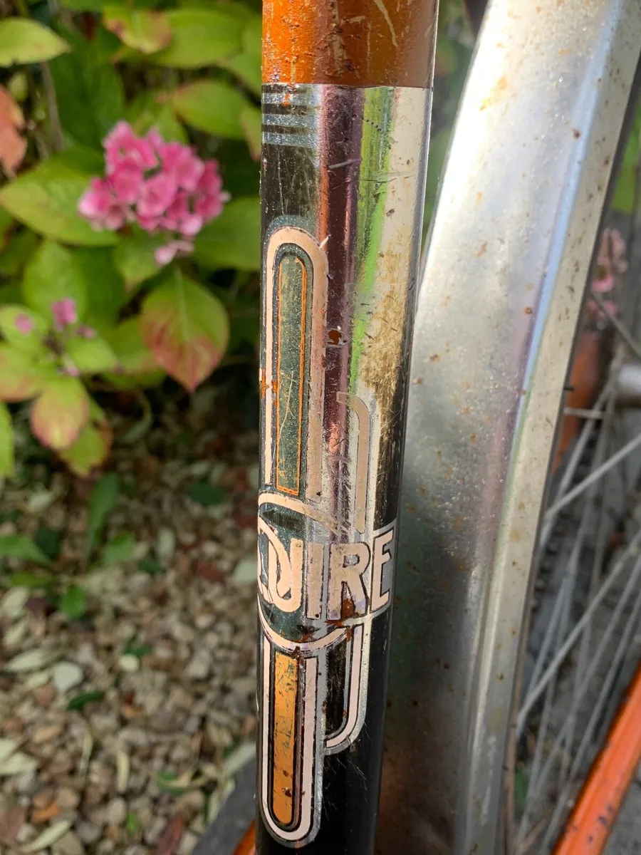 Vintage Raleigh Esquire Bicycle - Image 1
