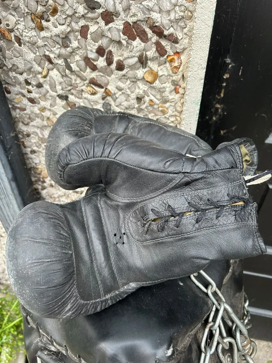Boxing Punchbag+gloves - Image 2