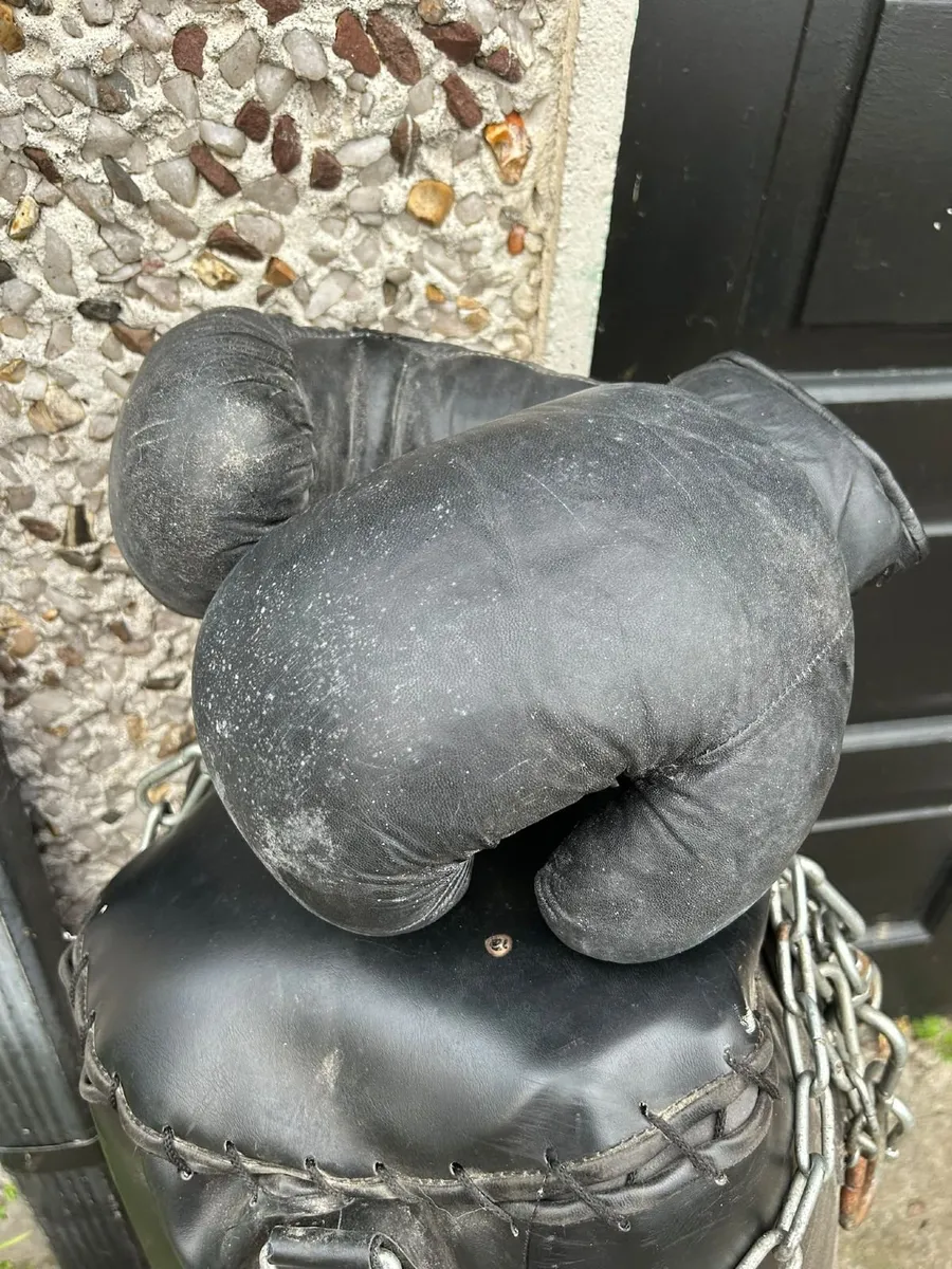 Boxing Punchbag+gloves - Image 3