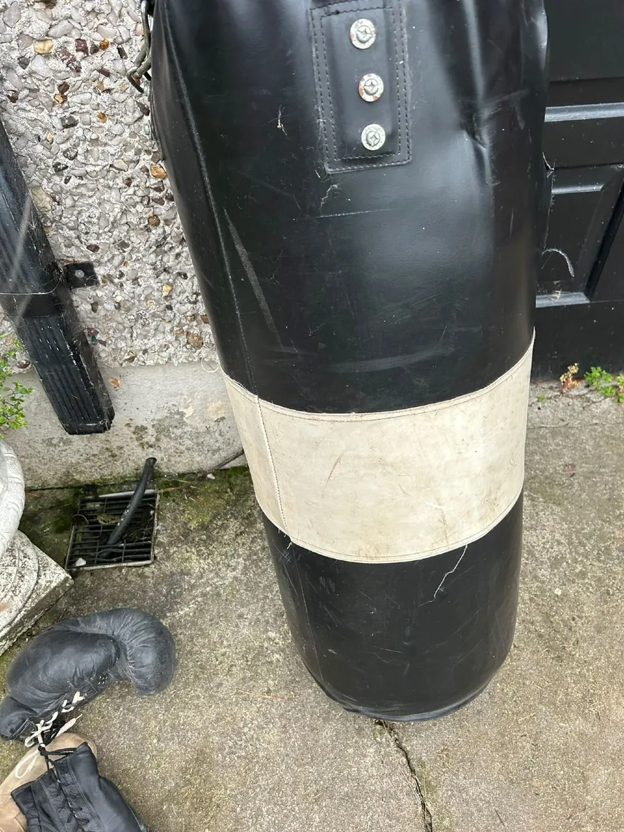 Boxing Punchbag+gloves - Image 4