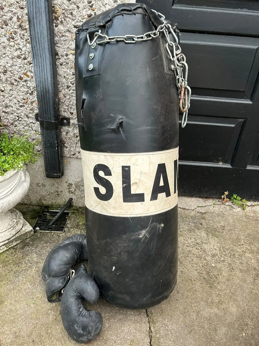 Boxing Punchbag+gloves - Image 1