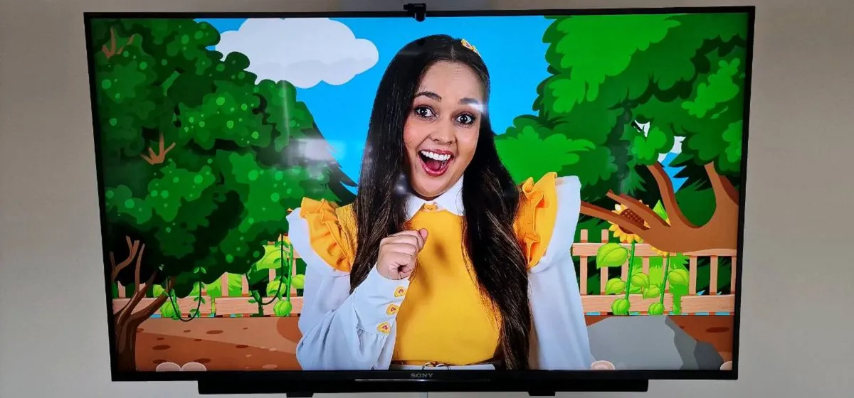 Sony Bravia 49" 4K HDR Smart TV - Image 1