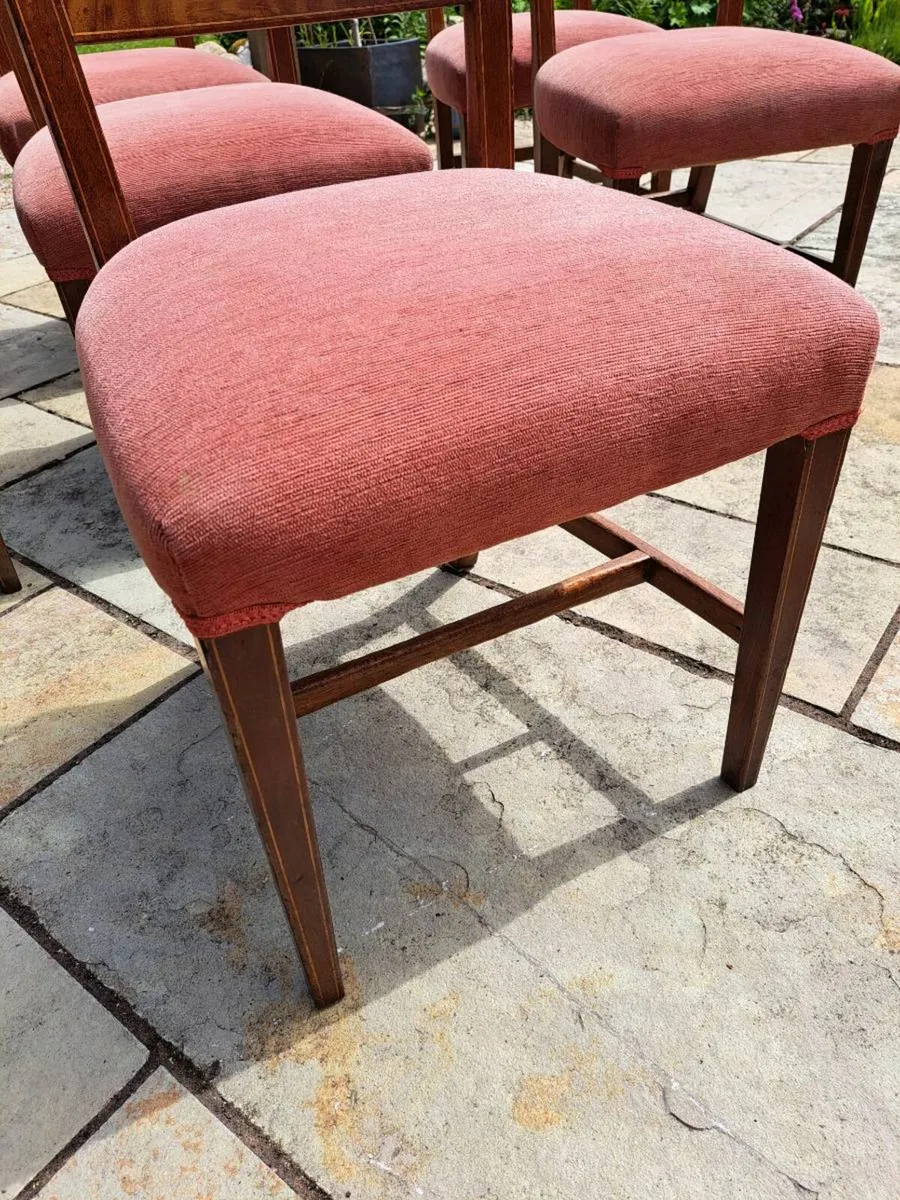 Dining chairs - Image 3