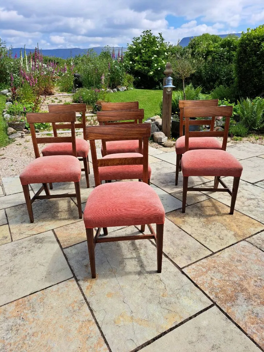 Dining chairs - Image 1