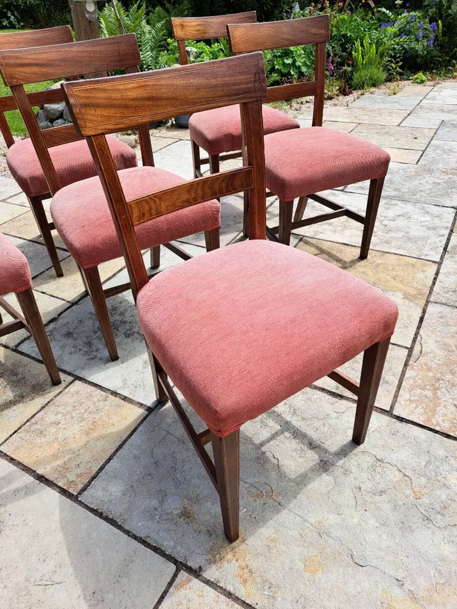 Dining chairs - Image 4