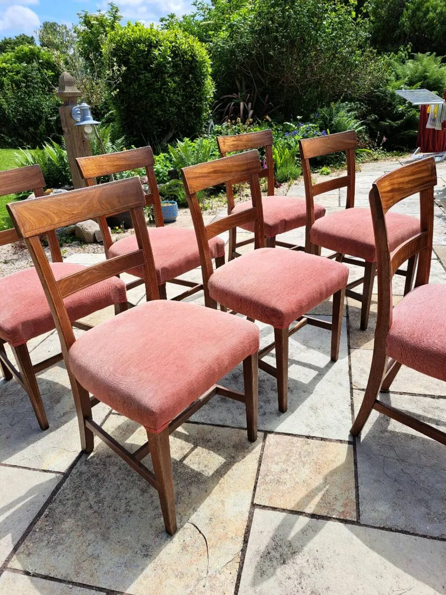 Dining chairs - Image 2