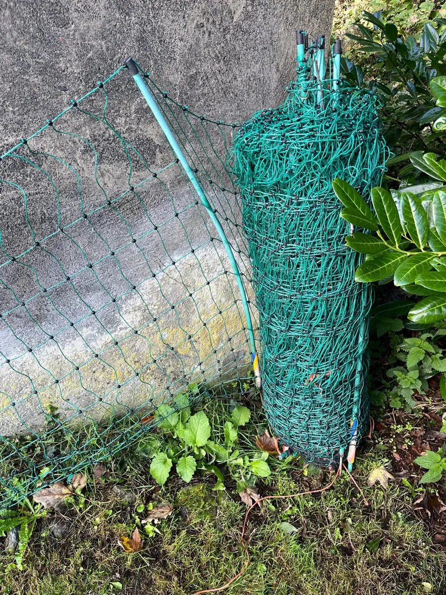 Poultry fencing-Electric - Image 2