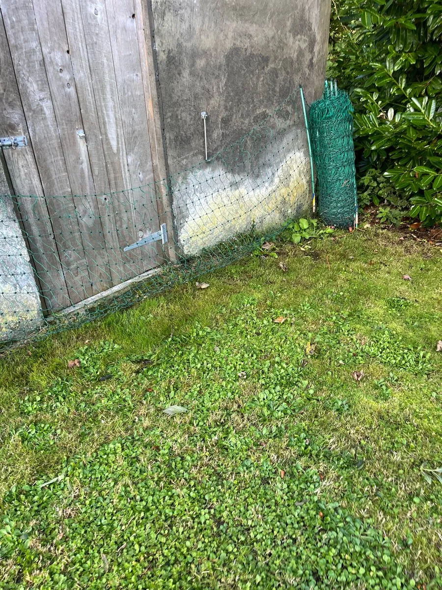Poultry fencing-Electric - Image 4