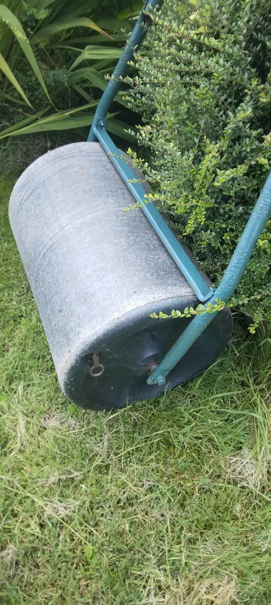 Roller - Image 1