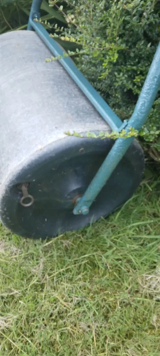 Roller - Image 2