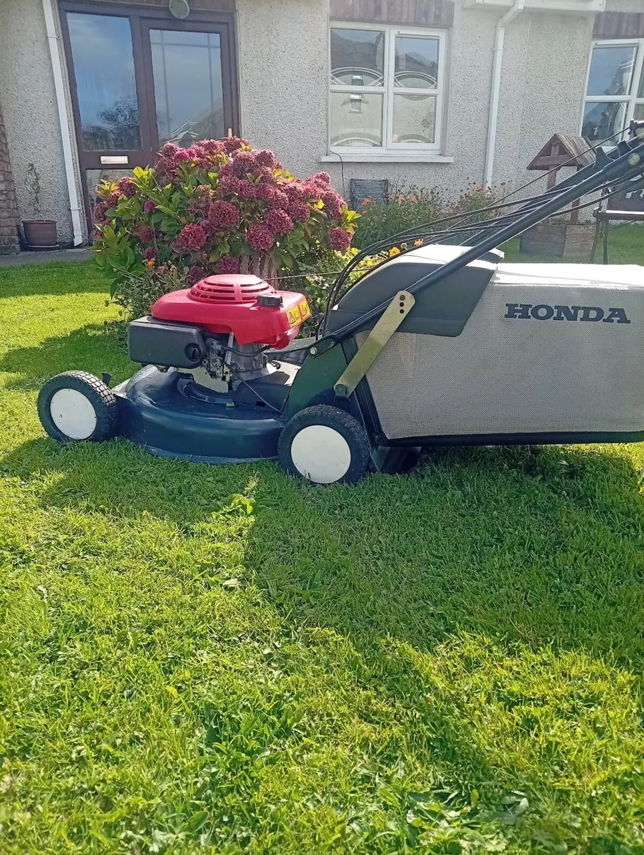 HONDA HRD 535 - Image 1