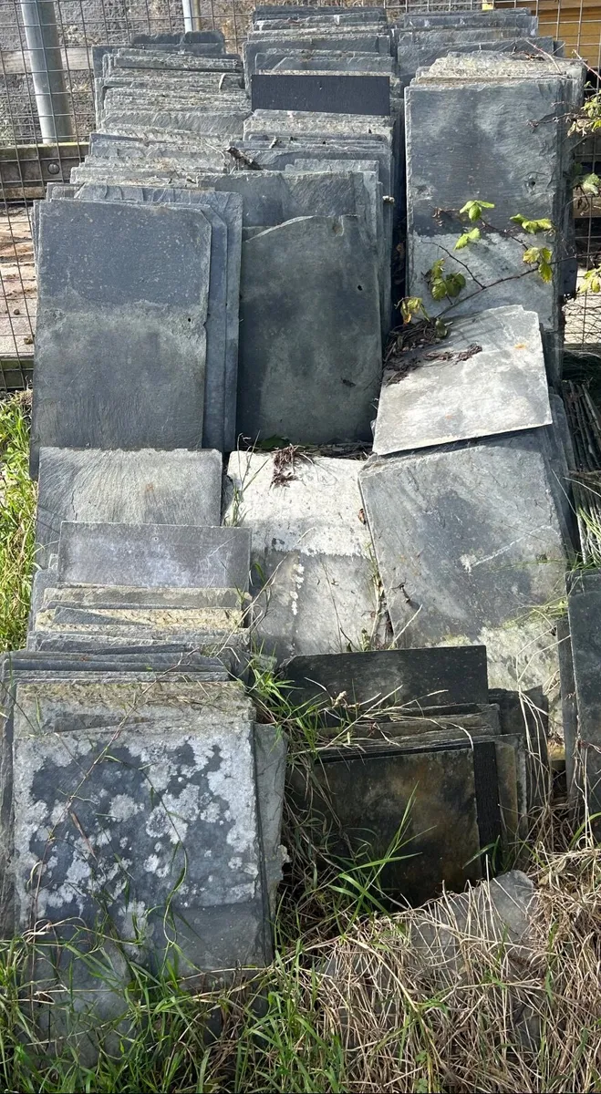 Doors - Image 4