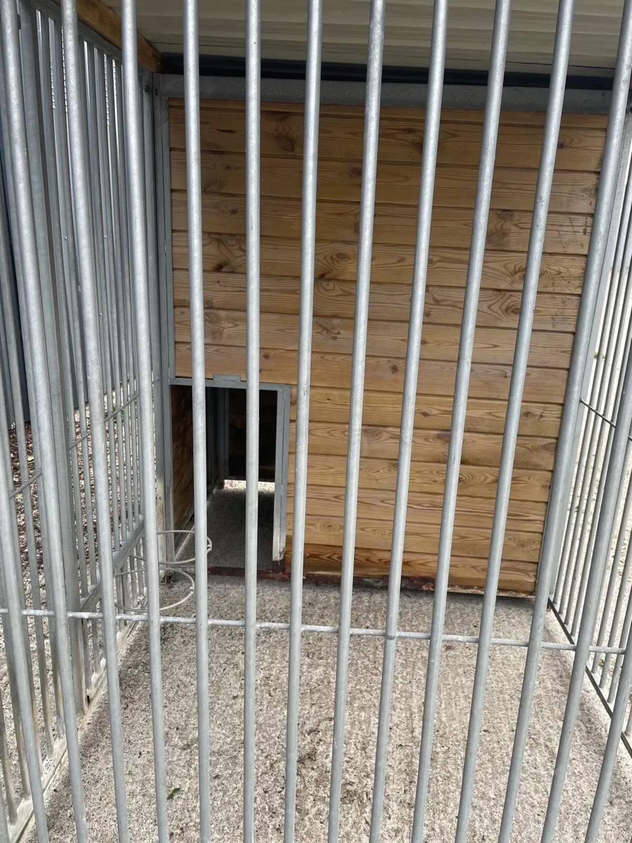 Dog House and Run - Image 2