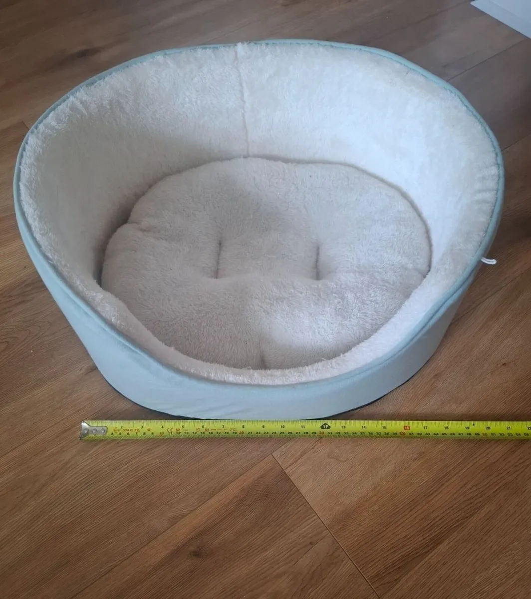 Cat accessories - Image 2