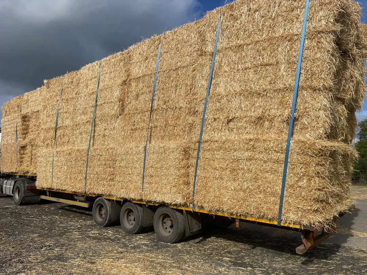 Stepframe Artic bale trailer - Image 1