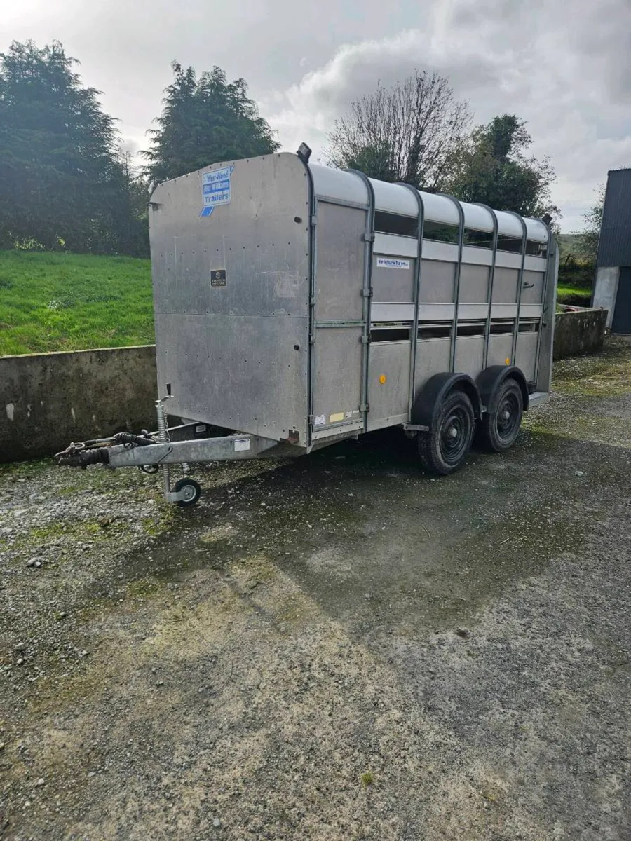 Ifor Williams 12ft may part ex - Image 1
