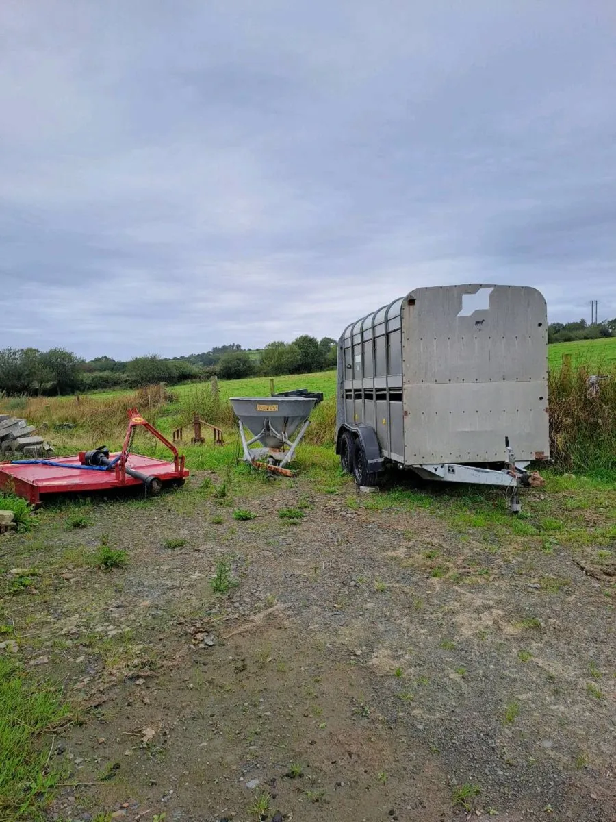 Cow box - Image 1