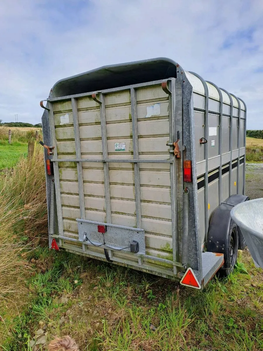 Cow box - Image 3