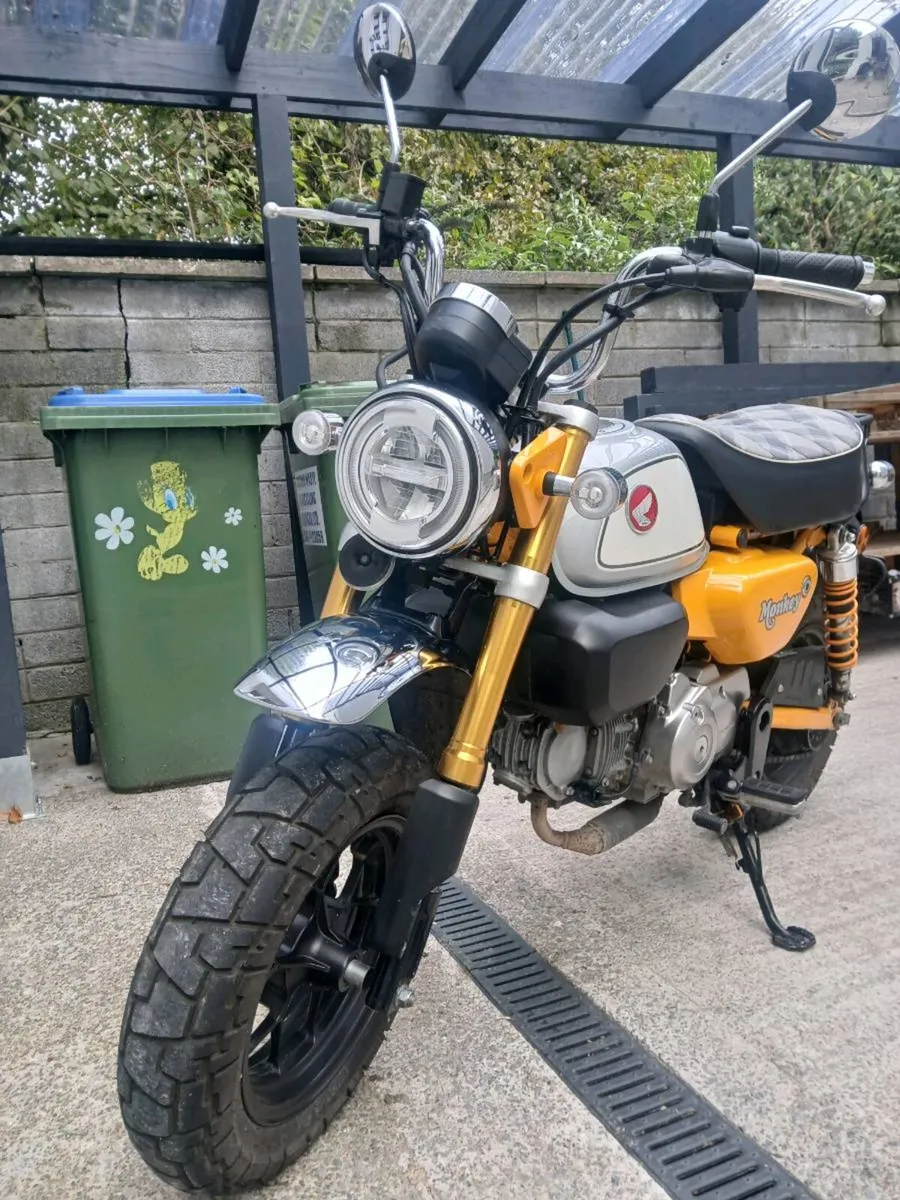 2023 Honda Monkey 125 Low Mileage Perfect conditio - Image 1