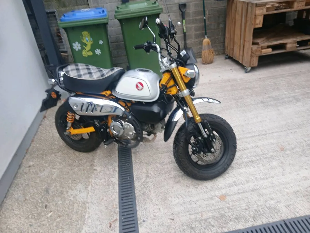 2023 Honda Monkey 125 Low Mileage Perfect conditio - Image 3