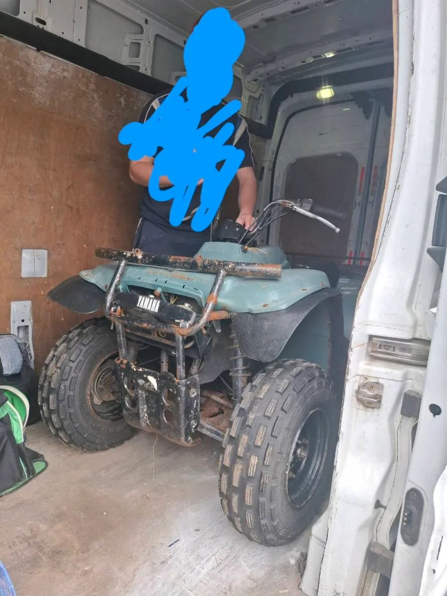 Timberwolf 250cc needs diff