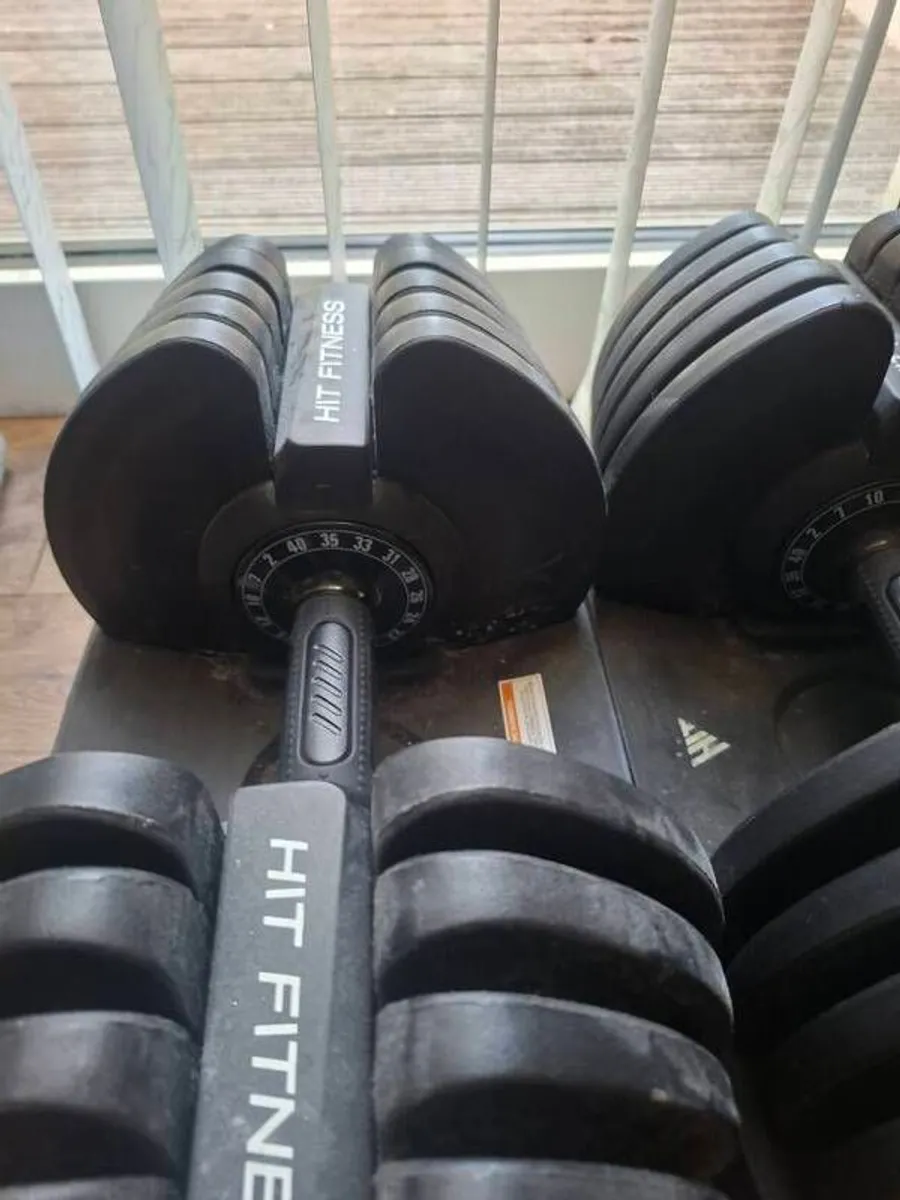 adjustable dumbells 5kg to 40kg and curling bar and plates - Image 2