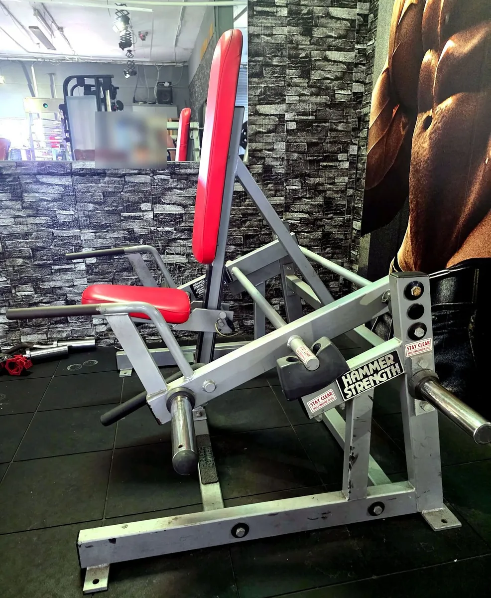Original Hammer Strength seated/standing shrug - Image 2
