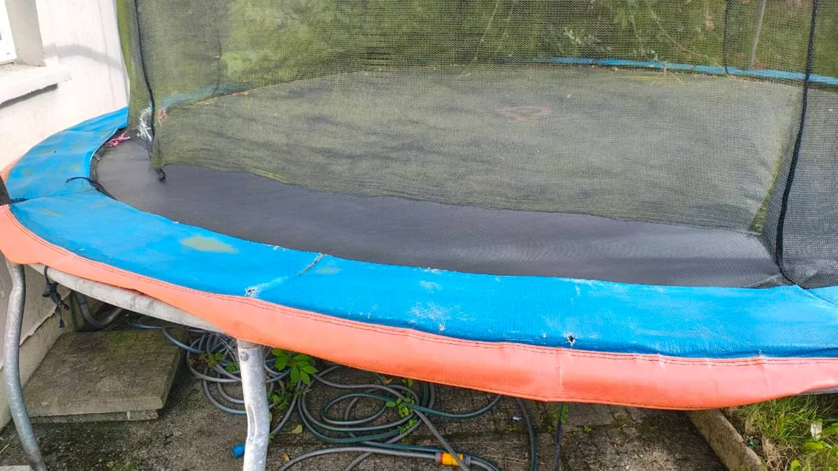 Free 12Ft Trampoline - Image 2