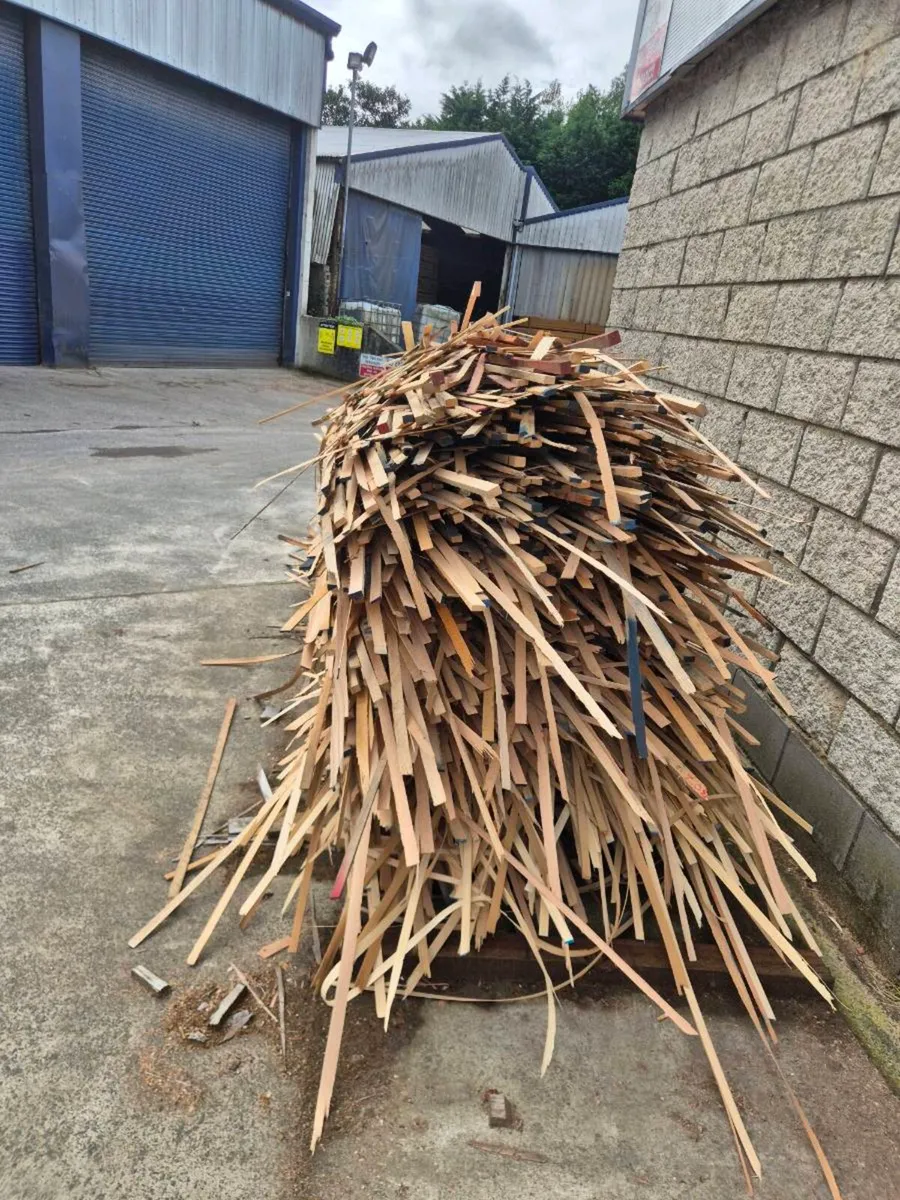 Free dry fire wood - Image 2
