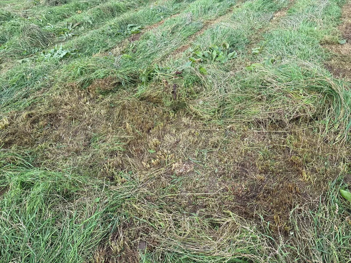 Rotary Drum Mower - Image 4