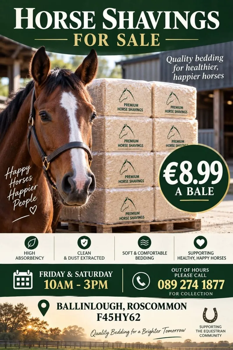 Shavings Horse