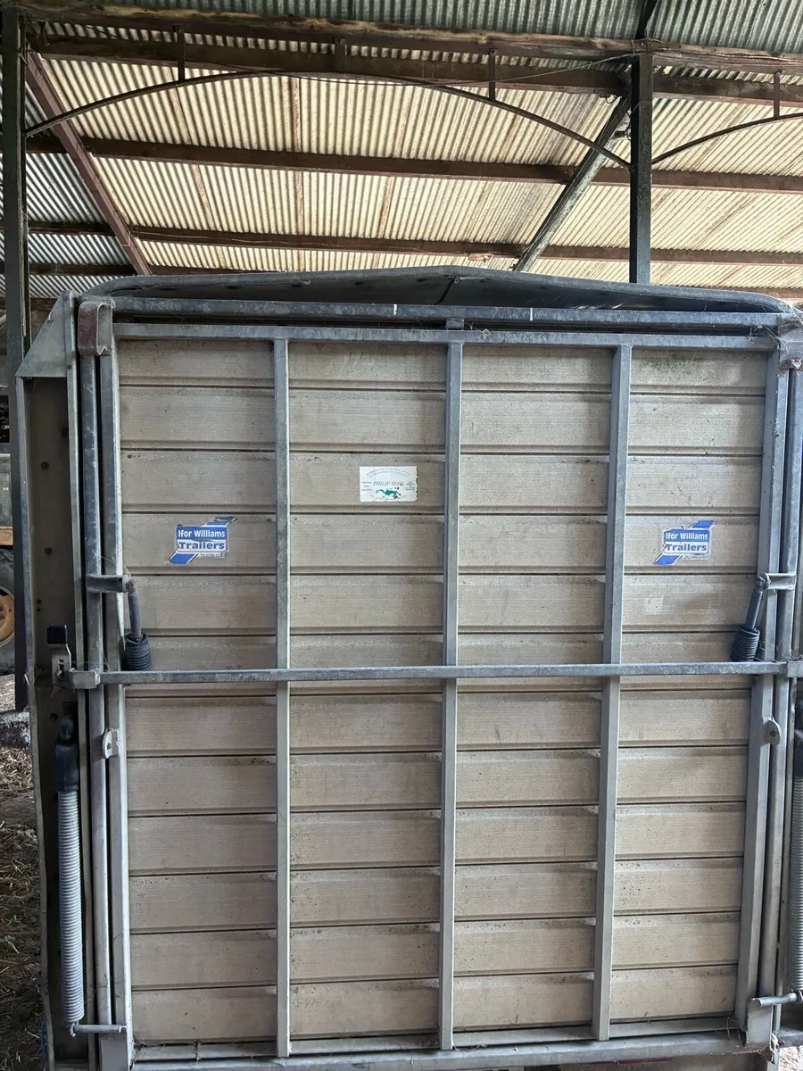 Ifor Williams DP120 - Image 4