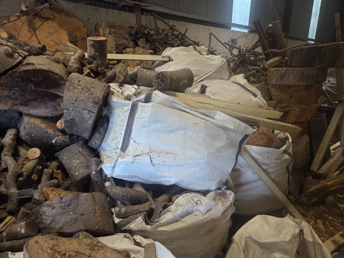 Firewood - Image 2