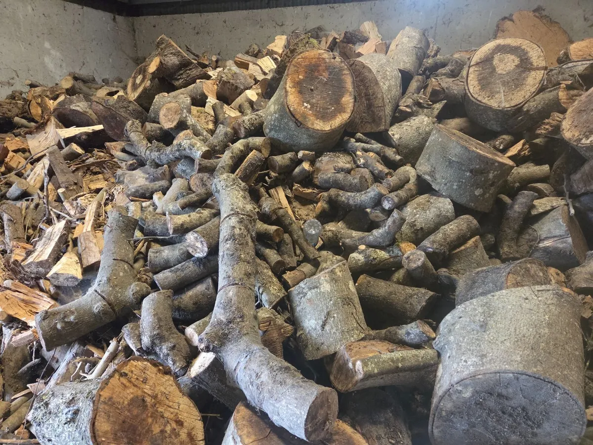 Firewood - Image 1