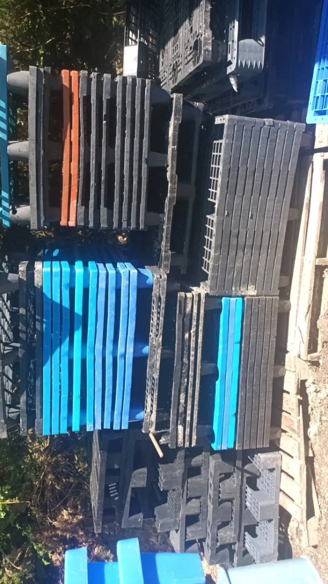 Plastic Pallets - Image 3