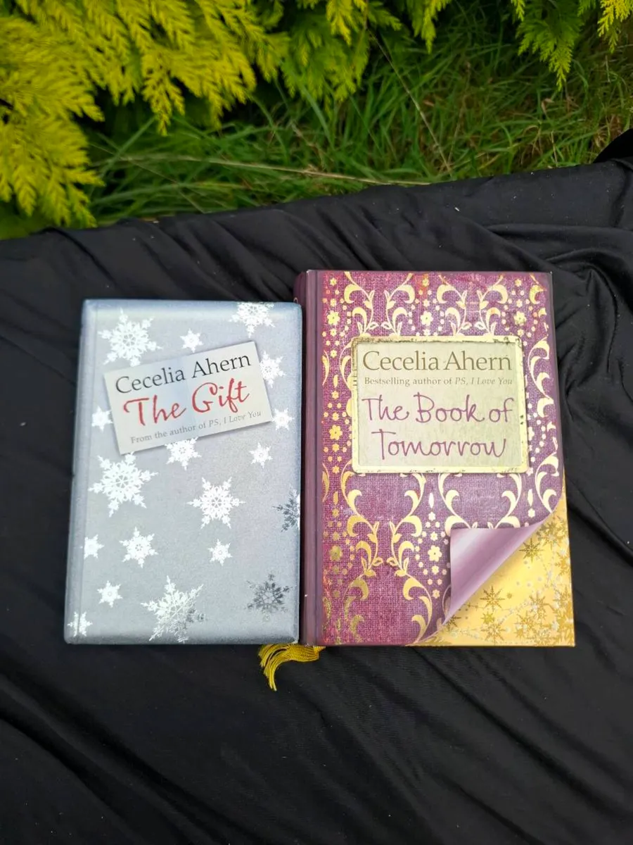 2 books by the author of ps I love you