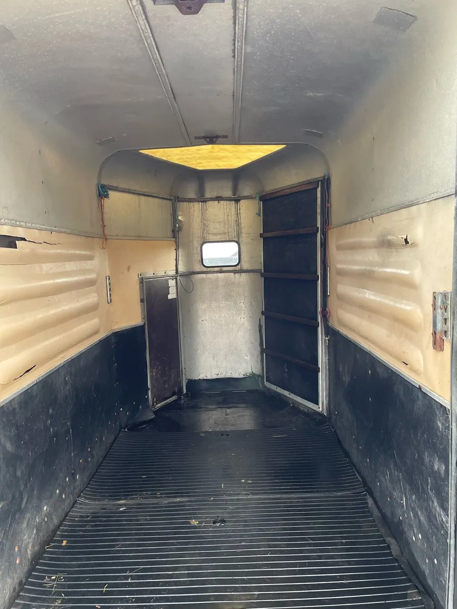 Horse box - Image 4
