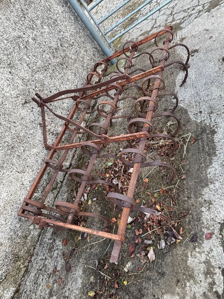 Tine Harrow/Cultivator - Image 3