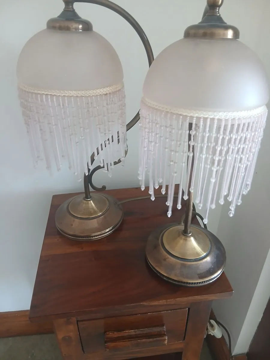 Two beautiful lampshades divine for any room - Image 1