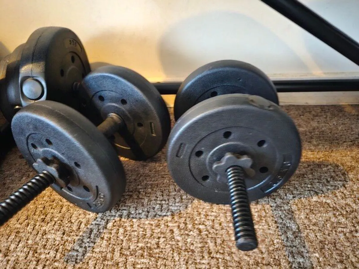 gym - Image 2